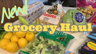 ALDI amp WALMART GROCERY HAUL [upl. by Wise102]