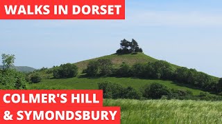 WALKS IN DORSET at SYMONDSBURY amp COLMERS HILL AND HELL LANE 4K [upl. by Aiekal]