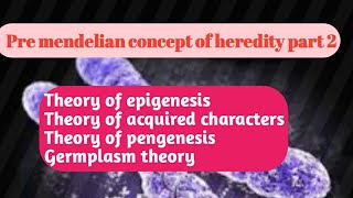 Pre mendelian concepts of heredity part 2  Conceptual Genetics and Breeding [upl. by Naujtna]