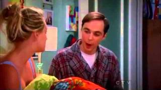 Big Bang Theory Homeostasis [upl. by Kelcey]