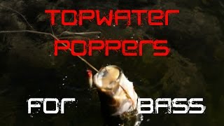 Bass Fishing How to fish a Popper [upl. by Inaniel467]