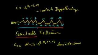 Organische Chemie 13 Fettsäuren 1  Einführung [upl. by Leroi678]