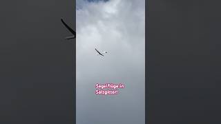 Segelflugzeug PlanörPlanor segelfliegensalzgitter [upl. by Menedez]