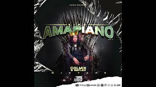 MIXTAPE KING AMAPIANO VOL 2 DJ COLMIX FT REFLEX [upl. by Oicnoel]