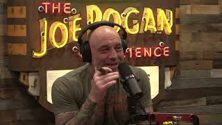 Joe Rogan Experience 1847  Theo Von [upl. by Theurer123]