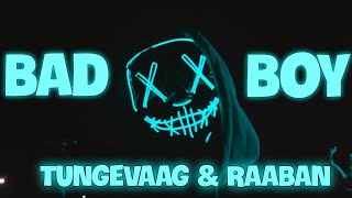 Bad Boy  Tungevaag amp Raaban lyrics version [upl. by Darreg]