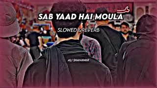 Sab Yaad Hai Mola   Slowed  Reverb   Ali Shanawar  Noha  ItsFaizee92 [upl. by Bianchi]