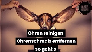 Ohren reinigen  Ist Ohrenreinigung nötig  So säuberst du Dein verstopftes Ohr richtig [upl. by Seabury]