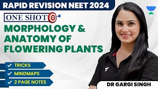 Morphology amp Anatomy Of Plants With Tricks  One Shot  NEET 2024  Dr Gargi Singh [upl. by Edgard]