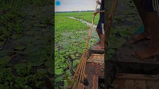 Boat Fishing Video 2024 part 132shortsshortvideo viral viralvideo fishing fishboatfishing [upl. by Aia416]