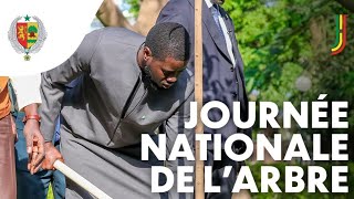 En direct de Touba  Lancement de la Journée Nationale de lArbre par Le Président de la République [upl. by Sucul]