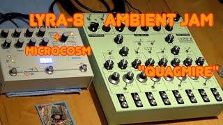 Lyra8  Microcosm ambient jam quotquagmirequot [upl. by Ahsaela62]