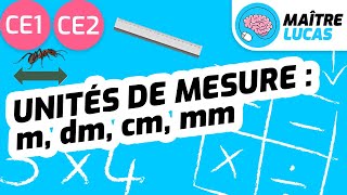 Unités de mesure  m dm cm mm CE1  CE2  Cycle 2  Mathématiques  Grandeurs et mesures [upl. by Kerred]