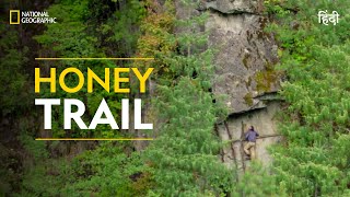 Honey Trail  Primal Survivor  हिन्दी  Full Episode  S1  E1  National Geographic [upl. by Tneciv]