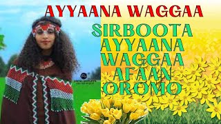 sirba ayyaana waggaa afaan oromooEthiopian new year [upl. by Alyehs]