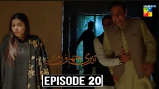 Teri Chhaon Mein Episode 20 Promo  Teri Chhaon Mein Episode 20 Teaser  Upcoming Full Drama Review [upl. by Ecnar341]