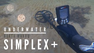 Nokta Makro Simplex DOES IT WORK IN SEAWATER Metal Detecting Underwater [upl. by Pansy]