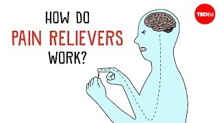 How Do Pain Relievers Work  George Zaidan [upl. by Oznerol]