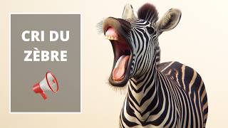 Cri du Zèbre  Le Zèbre qui Hennit  Cry of the zebra 🦓🔊 [upl. by Leuamme]