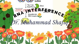 RNAi and Gene Silencing from jorgenson coexpression to discovery of double stranded RNA and siRNA [upl. by Anum]