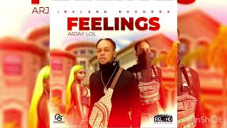 Arjaylol  Feelings Official Audio [upl. by Jit]