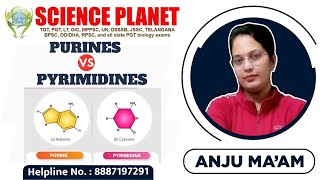 Purines Vs Pyrimidines I Adenine I Guanine I Thymine I Cytosine I [upl. by Duster]