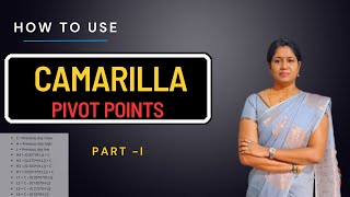 Camarilla Pivot Points for Beginners  Part  I   NIFTY amp BANKNIFTY [upl. by Nager445]