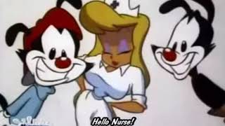 Animaniacs  Macadamia Nut but it’s only “Hello Nurse” QUICK LOOP [upl. by Amlas]