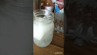 Turn Sparkling Water into Cream Soda carnivore food [upl. by Dloniger776]