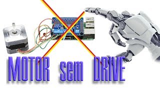 Como rodar um motor de passo  sem placa controladora  Run stepper motor  without controller board [upl. by Tess]