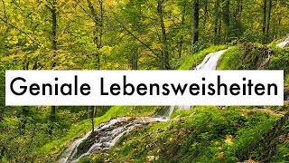 Geniale Lebensweisheiten  Witzige Zitate amp Weisheiten des Lebens [upl. by Nirraj]