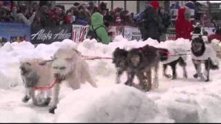 Raw Video Ceremonial Start of Iditarod Race [upl. by Chamberlain237]