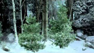 Winter X Games 15  Heath Frisby Winter X Games 15 TV spot [upl. by Aubrette881]