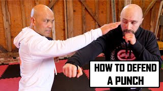 How to defend a punch  Wing Chun [upl. by Florance25]