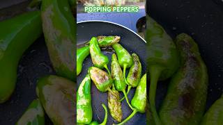 PADRON PEPPERS sizzling popping goodness just done forget the sea salt  bbq cooking tasty [upl. by Heisser]