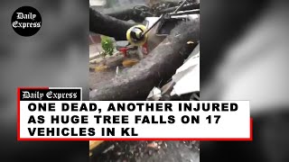 One dead another injured as huge tree falls on 17 vehicles in KL [upl. by Asilrak]