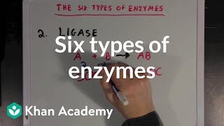 Six types of enzymes  Chemical Processes  MCAT  Khan Academy [upl. by Durrett]