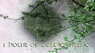 1 Hour of Celtic Music  Music by BrunuhVille [upl. by Searby]