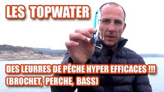 Les TOPWATER des leurres de pêche HYPER EFFICACES  brochet perche bass [upl. by Tychon747]