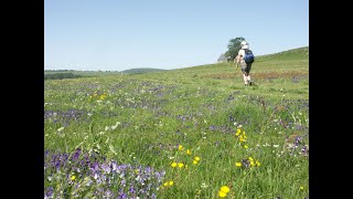 COMPOSTELLE  Le PUY en VELAY  ESPALION [upl. by Curran]