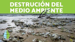 DESTRUCCIÓN del MEDIO AMBIENTE y del HÁBITAT [upl. by Anirehs146]