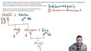 ABITRAINING  Stammbaumanalyse 2 Erkennst du die Augenfarbe von Pluto [upl. by Ancilin]