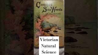 Victorian Natural Science Book 1881 Common Sea Weeds [upl. by Albert]