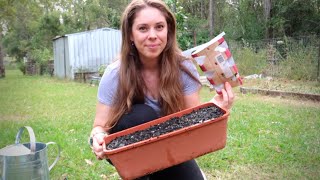 How To Do Hugelkultur Gardening In Containers [upl. by Ahcsat]