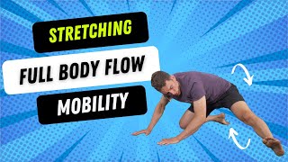 Full Body Mobility Flow 15 min fully body stretching routine [upl. by Aehsa]