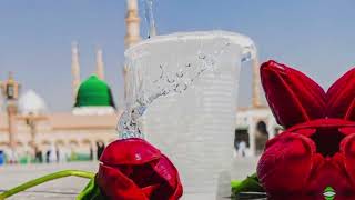 Wo Mera Nabi hai SlowedReverb🥀🥰🖇️💚 [upl. by Nicoli]