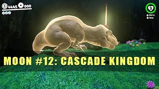 Cascade Kingdom Moon 12  Super Mario Odyssey [upl. by Sucitivel]