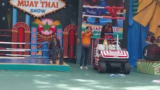 Orangutan Boxing Show at Safari World Bangkok [upl. by Llerud]