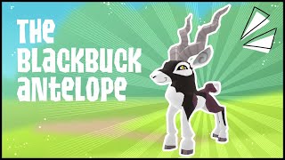 The Blackbuck Antelope  Animal Jam [upl. by Dugan638]