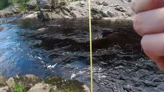 River Findhorn salmon Scotland fly fishing [upl. by Haberman963]